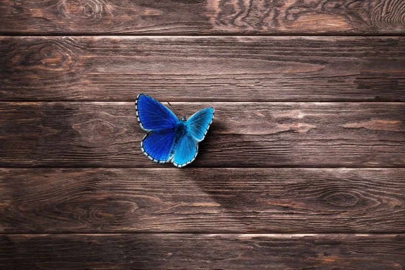 Comment on Wooden Background with blue Butterfly Picture