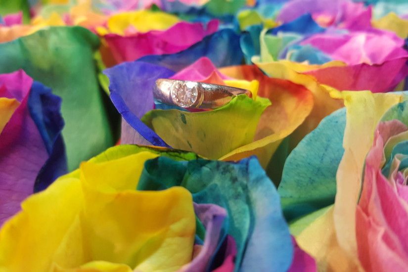 ... arrangement Â· vancouver rainbow roses