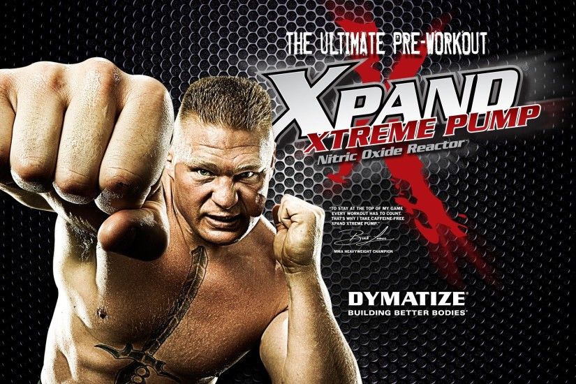 Free Download WWE Champion Brock Lesnar Wallpaper Source Â· Brock Lesnar  WallDevil