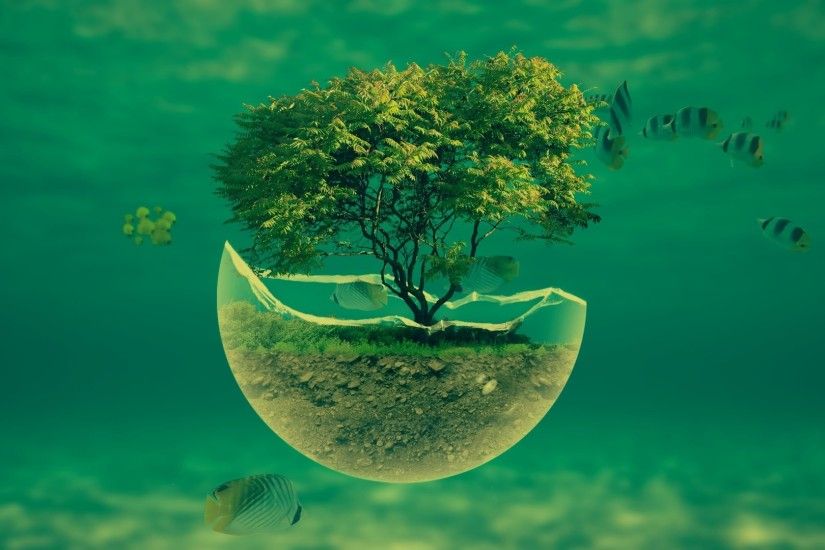 1188_3d_abstract 1920x1080-underwater-tree-widescreen-hd-abstract