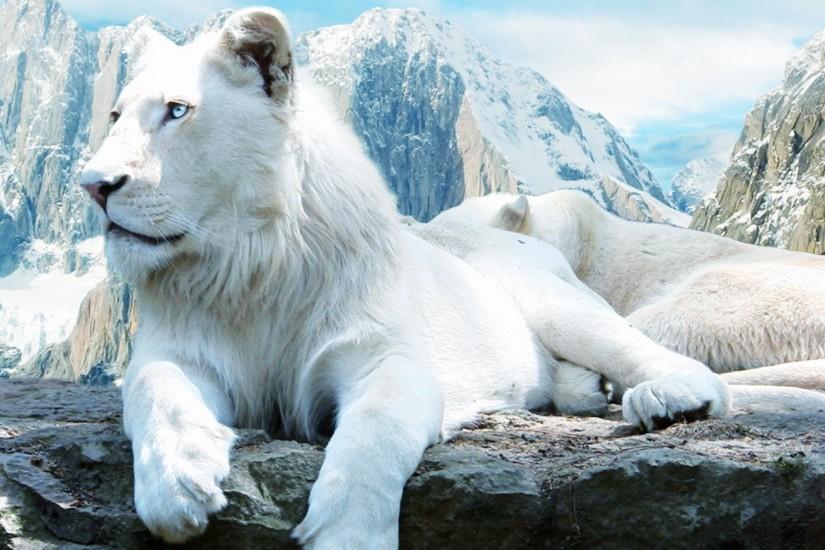 White Lion Wallpapers | Sky HD Wallpaper