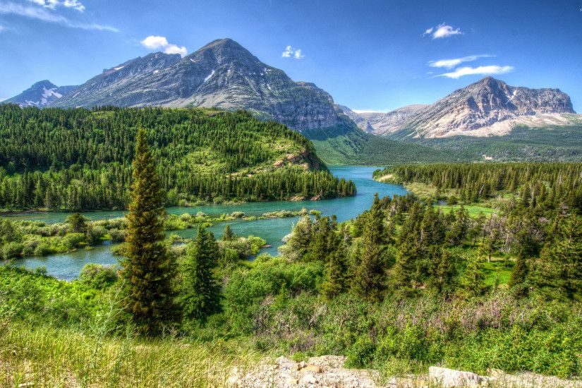 Amazing green forest in Glacier National Park wallpaper