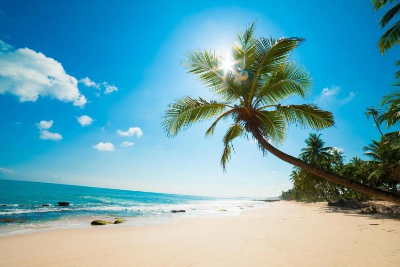 ... Palm Tree Beach Wallpaper ...