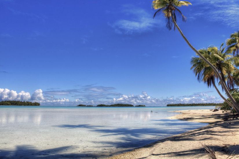 Tropics, Daytime, Caribbean, Beach, Sea Wallpaper in 2560x1440 Resolution