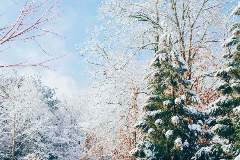 Full Screen Wallpaper of a colourful snow scene