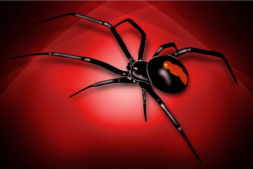 HD wallpaper with red white spider