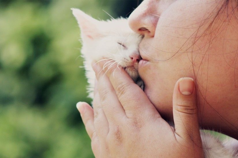 Girl Kissing Small White Cat wallpapers and stock photos