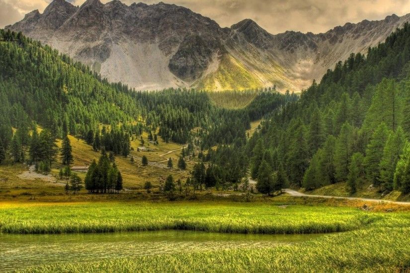Green Forest and Mountains Wallpaper