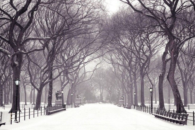 Central Park, New York. Winter Wallpaper HD 1920x1080