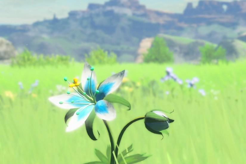 Breath of The Wild HD Backgrounds