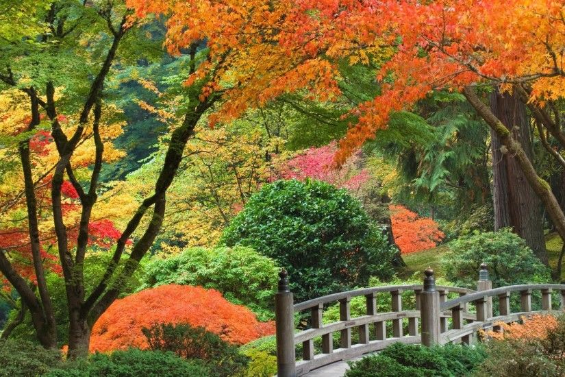Japanese Gardens Backgrounds, HQ, Hafsa Morville