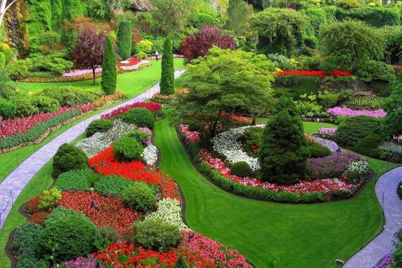 Colorful Flowers and Trees Garden Wallpaper