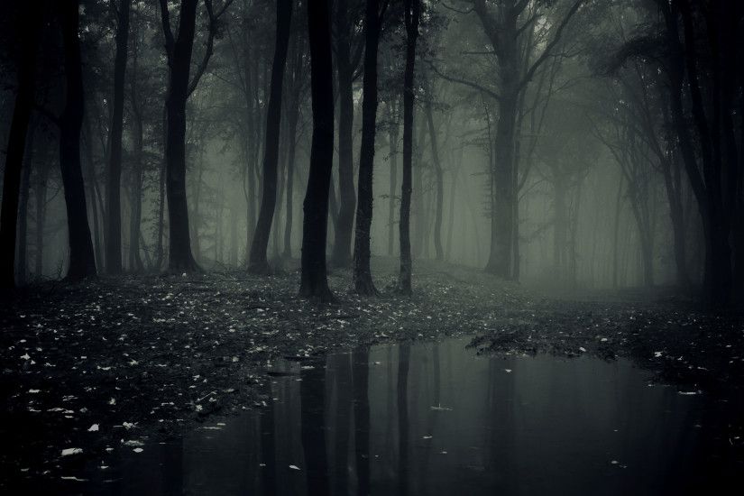 Dark Forest by ShyStriker on DeviantArt D A R K F O R E S T - Dark Ambient Creepy  Horror Windy Stalker .