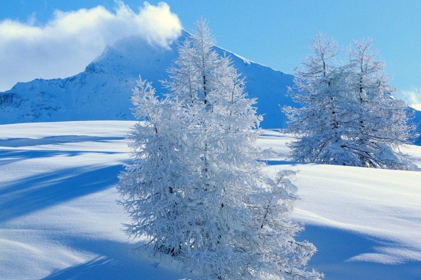 Mountain Snow Winter Tree Christmas Landscape Desktop Backgrounds Free -  1920x1200