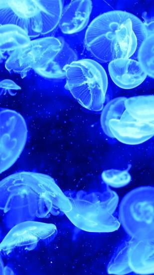 Pure Transparent Swimming Jellyfish Undersea #iPhone #6 #plus #wallpaper