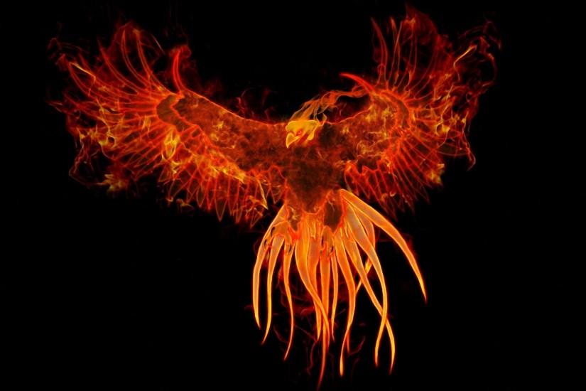 gorgerous phoenix wallpaper 2560x1440 ipad retina