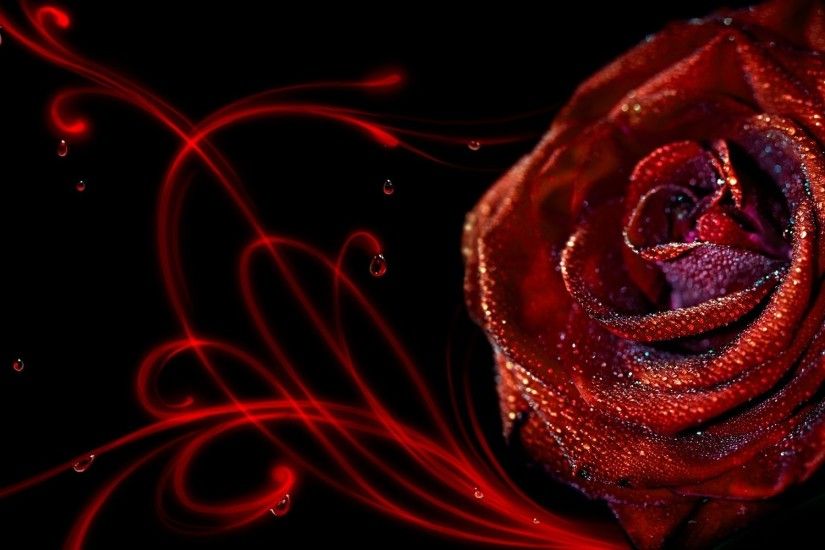 1920x1080 Red rose on black silk wallpaper thumb