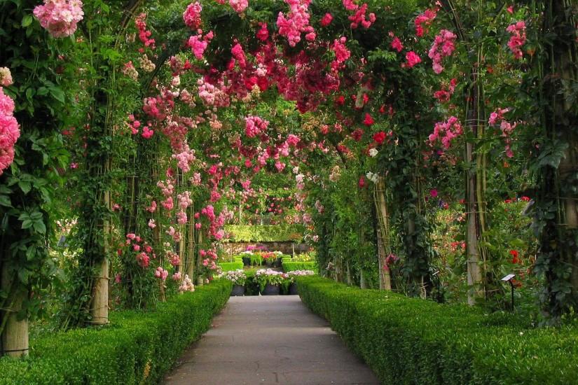 Pink Rose Garden Wallpaper | Garden | Home Image Area