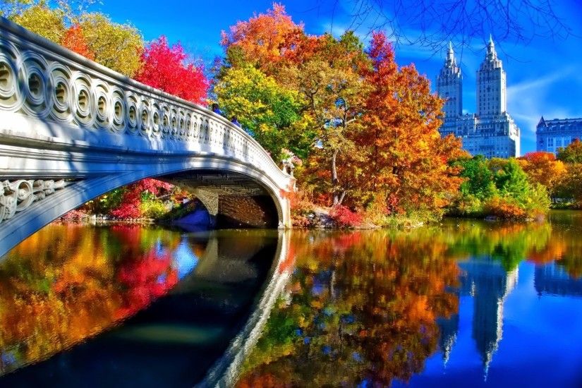 Man Made - Bridge Man Made Central Park New York Fall Foliage Tree Building  Reflection Wallpaper