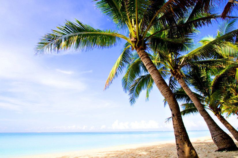 Coconut Trees Wallpaper with Beach ~ Trees Beach .