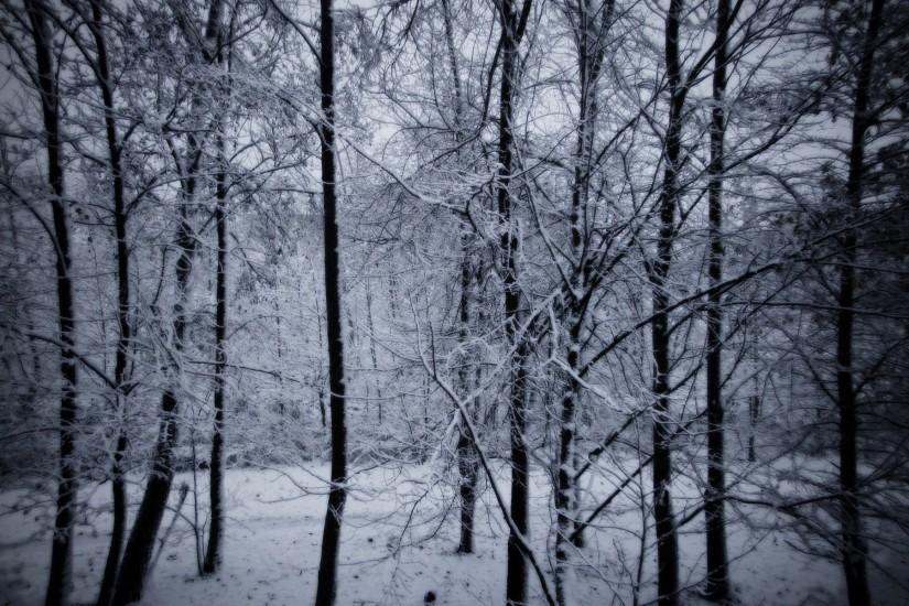 vertical snowy background 1920x1200