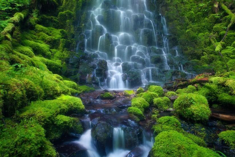 Find out: Rainforest Waterfall wallpaper on http://hdpicorner.com/rainforest