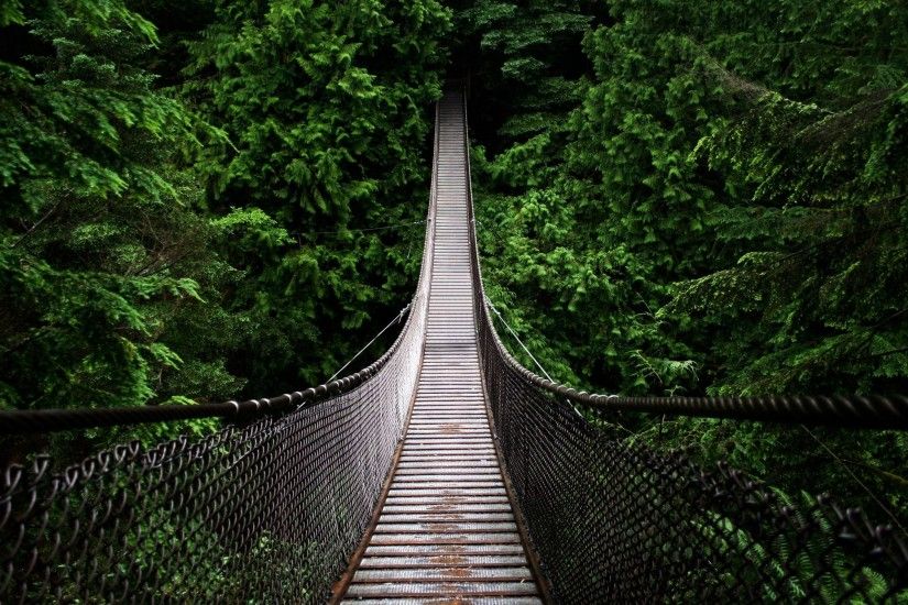 Bridge Into The Woods Wallpaper