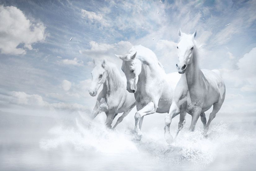 Angel Horse. Angel Horse Desktop Background
