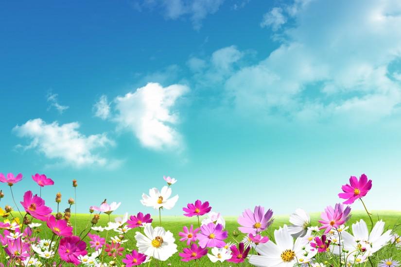 spring wallpaper 1920x1329 for phone
