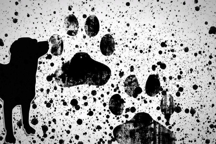 painting paws dog puppies paint splatter Wallpaper HD