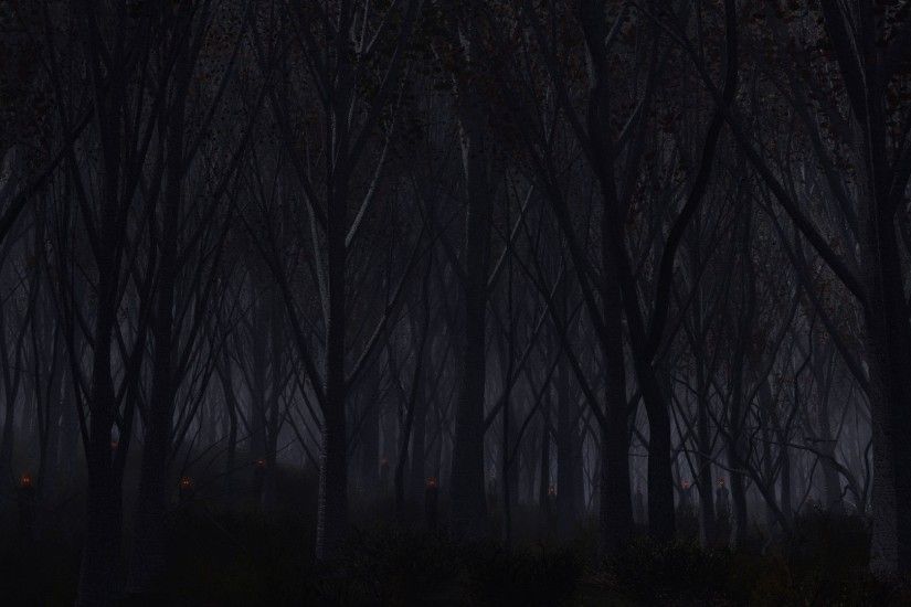 Forest Dark