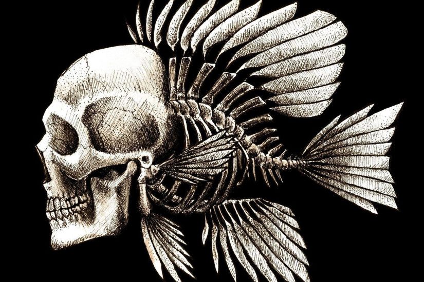 Skulls Humor Fish Artwork Charles Darwin Bones Seaman Wallpapers HD /  Desktop and Mobile Backgrounds