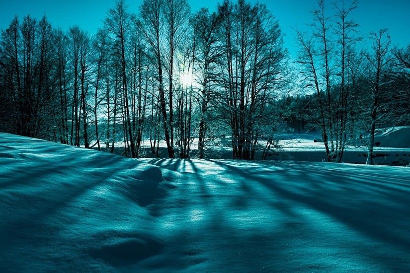 Fantastic Winter Scene In Monochrme HD Desktop Background