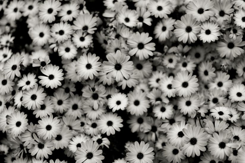Black And White Vintage Tumblr Backgrounds