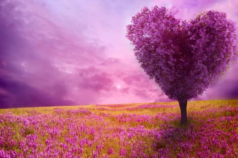 free spring backgrounds 1920x1080