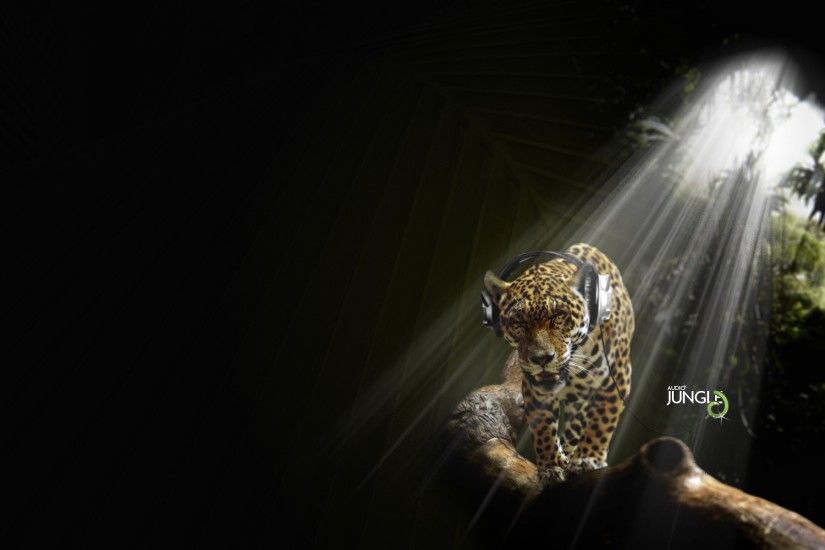 Jaguar in Audio Jungle