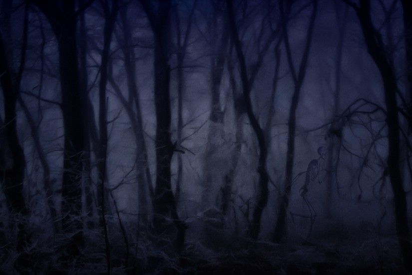 Creepy Forest Wallpaper 1920x1080 Creepy, Forest, Fog