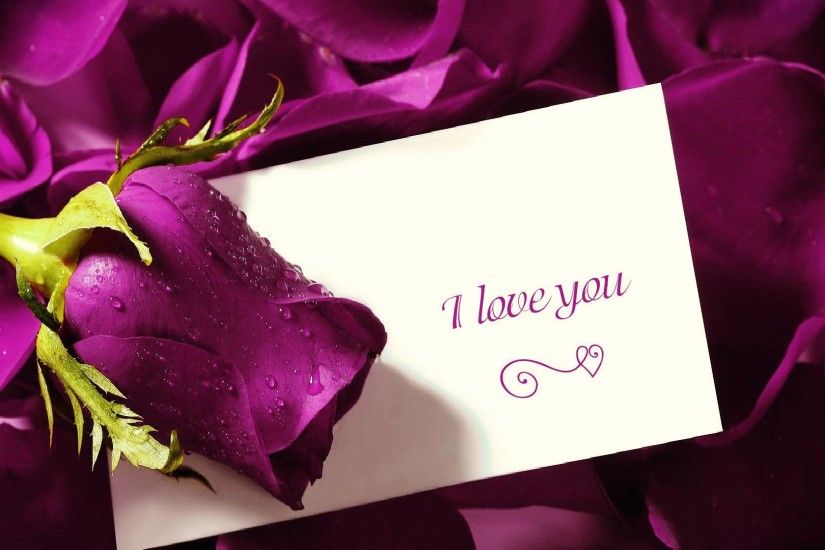 Purple Rose With Love letter Wallpaper Wallpaper