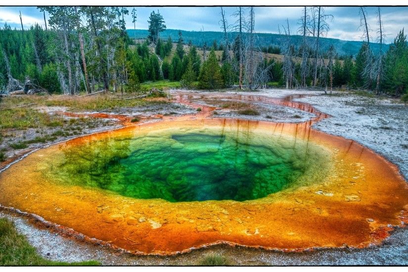 #WYOMING: The Morning Glory Pool, Upper Geyser Basin, #Yellowstone National  Park. The distinct color of the pool is due to bacteria which inhabit t…