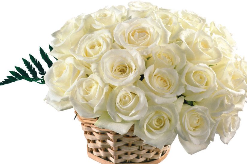 Bouquets Tag wallpapers: Spring Flora Petals Blooms Adele Bouquets ... White  Roses HD Wallpapers free ...