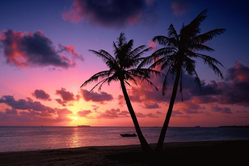 Sunset on a tropical beach wallpaper #6856