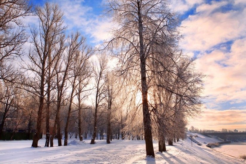 winter background belarus bright chill december festive forest landscape  nature pathway quiet road rural scene season