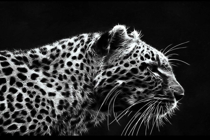 Black And White Leopard Wallpaper 27850 HD Pictures | Top .