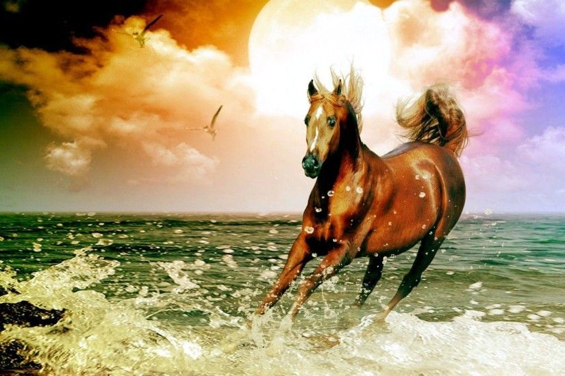 Arabian Horse Beach Desktop Wallpaper | High Quality Wallpapers .