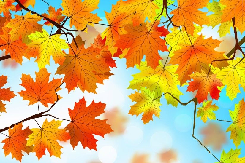 Red And Yellow Autumn Leaves HD desktop wallpaper High