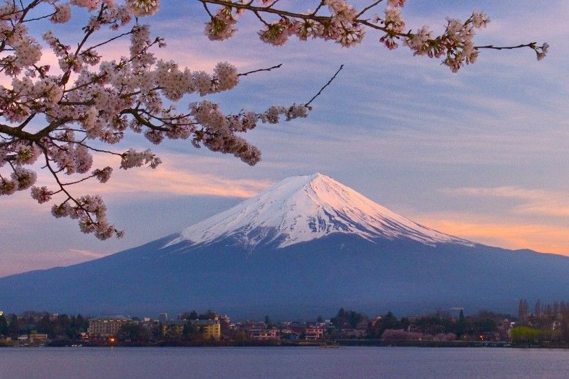 Japan Cherry Mount Fuji Blossoms Desktop Background Nature Pictures Detail