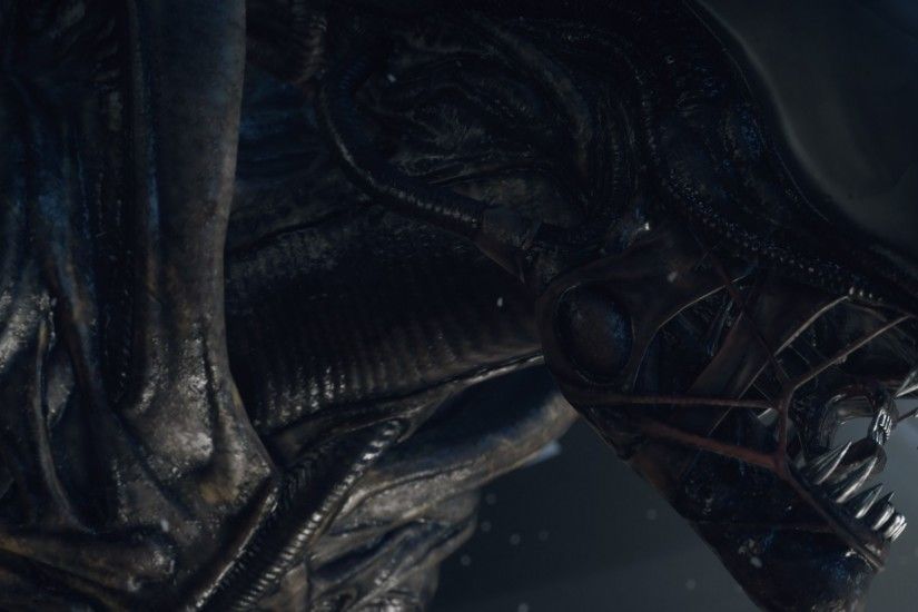 Preview wallpaper alien isolation, pc, playstation 3, playstation 4, xbox  360,