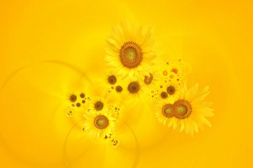 Bright Yellow Sunflowers