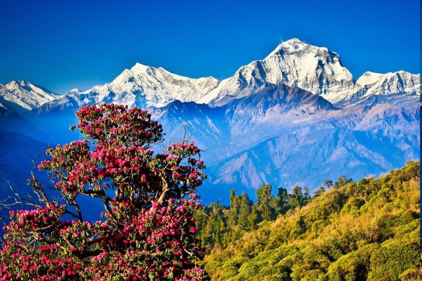 Nepal, Himalayas, Mountain, Nature, Landscape, Hill, Trees Wallpapers HD /  Desktop and Mobile Backgrounds