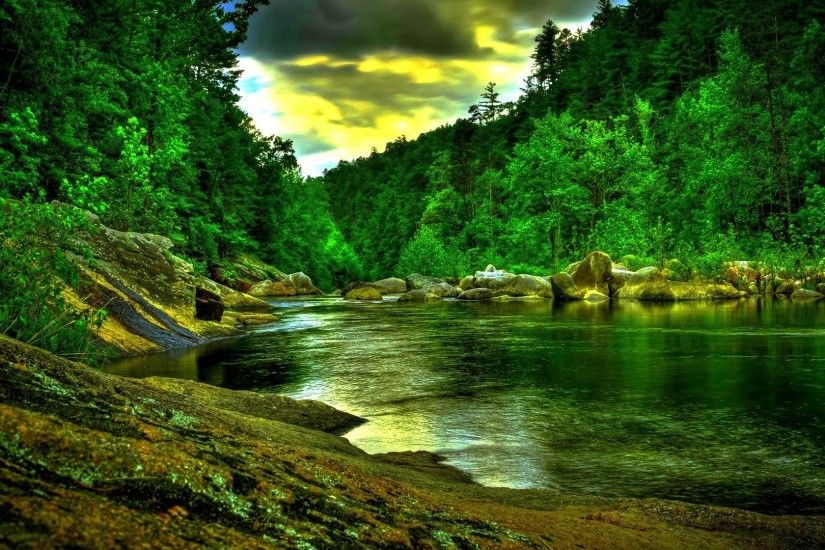Beautiful Green Forest River Hdr HD Desktop Background